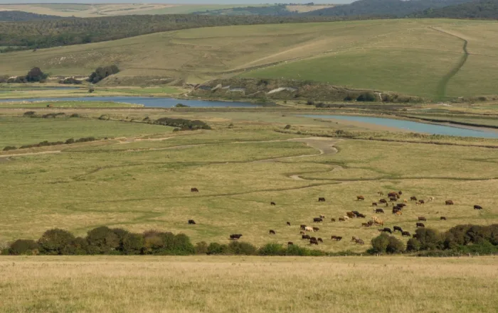 land used as eminent domain