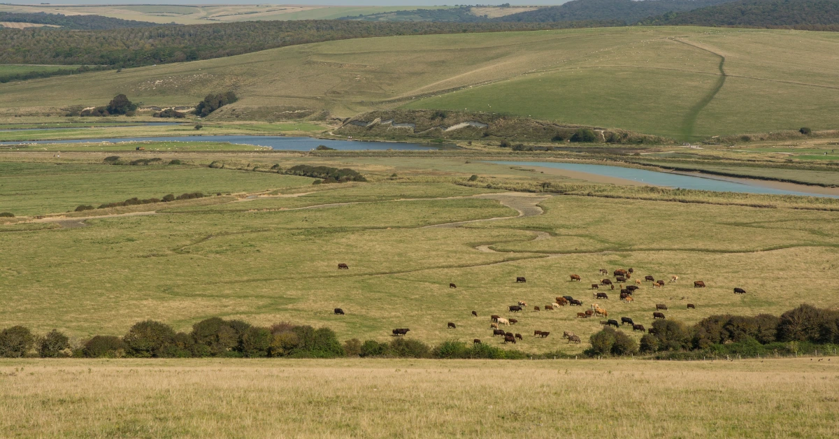 land used as eminent domain